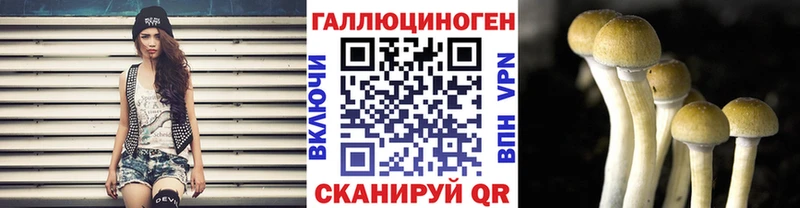 Галлюциногенные грибы Psilocybe это как зайти Абакан