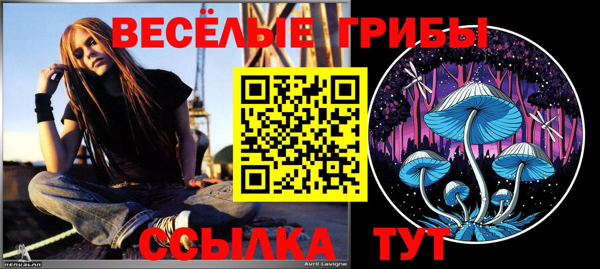 Галлюциногенные грибы мицелий  Вход с VPN  Псилоцибиновые грибы MAGIC MUSHROOMS  Абакан 