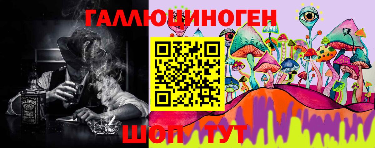 Псилоцибиновые грибы Psilocybe Абакан